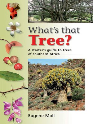 cover image of What's That Tree?